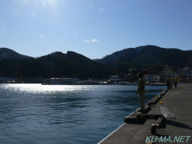 女川漁港その1の写真