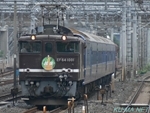 EF64-1001越後の鉄道写真サムネイル