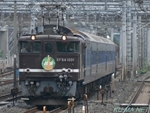 Photo of EF64-1001 ECHIGO Thumbnail