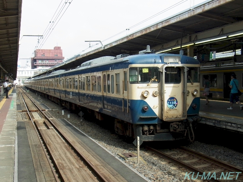 定期運用から離脱する113系の鉄道写真その3