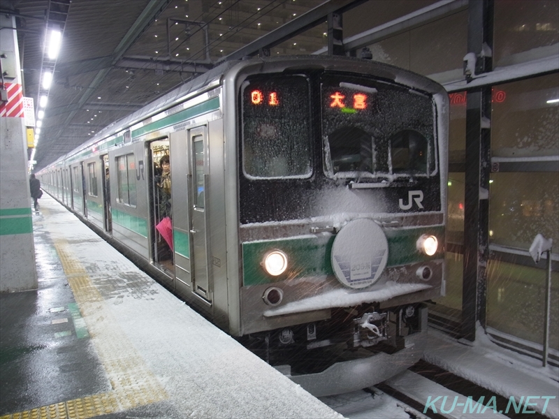 Photo of Saikyo Line series 205 1