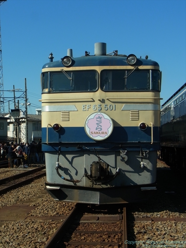 Photo of EF65-501 SAKURA